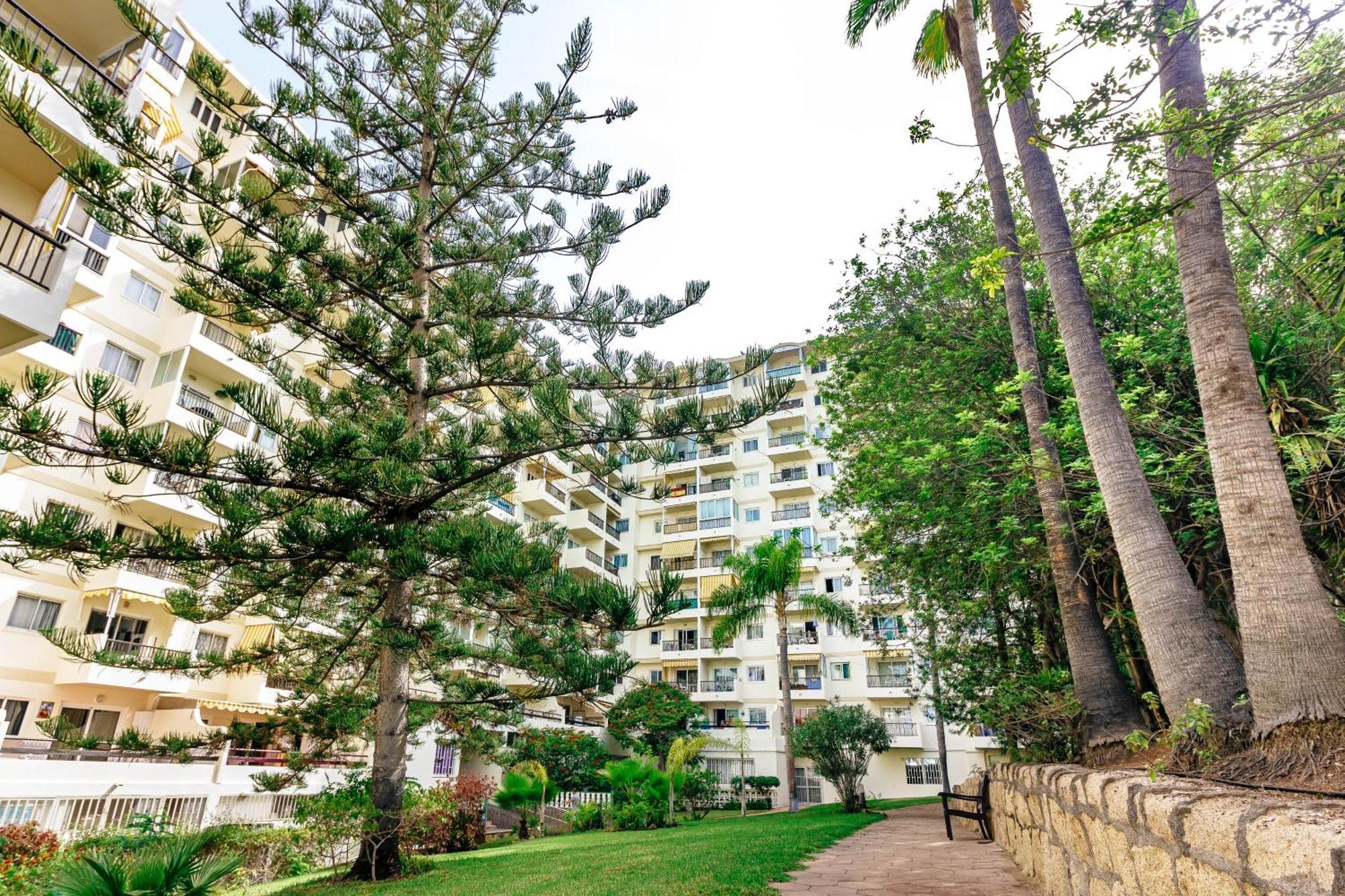 1Bdr El Dorado Ocean View Las Americas Плая-де-лас-Америкас Экстерьер фото